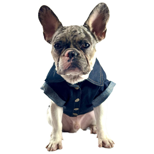 Chaqueta Jean HD