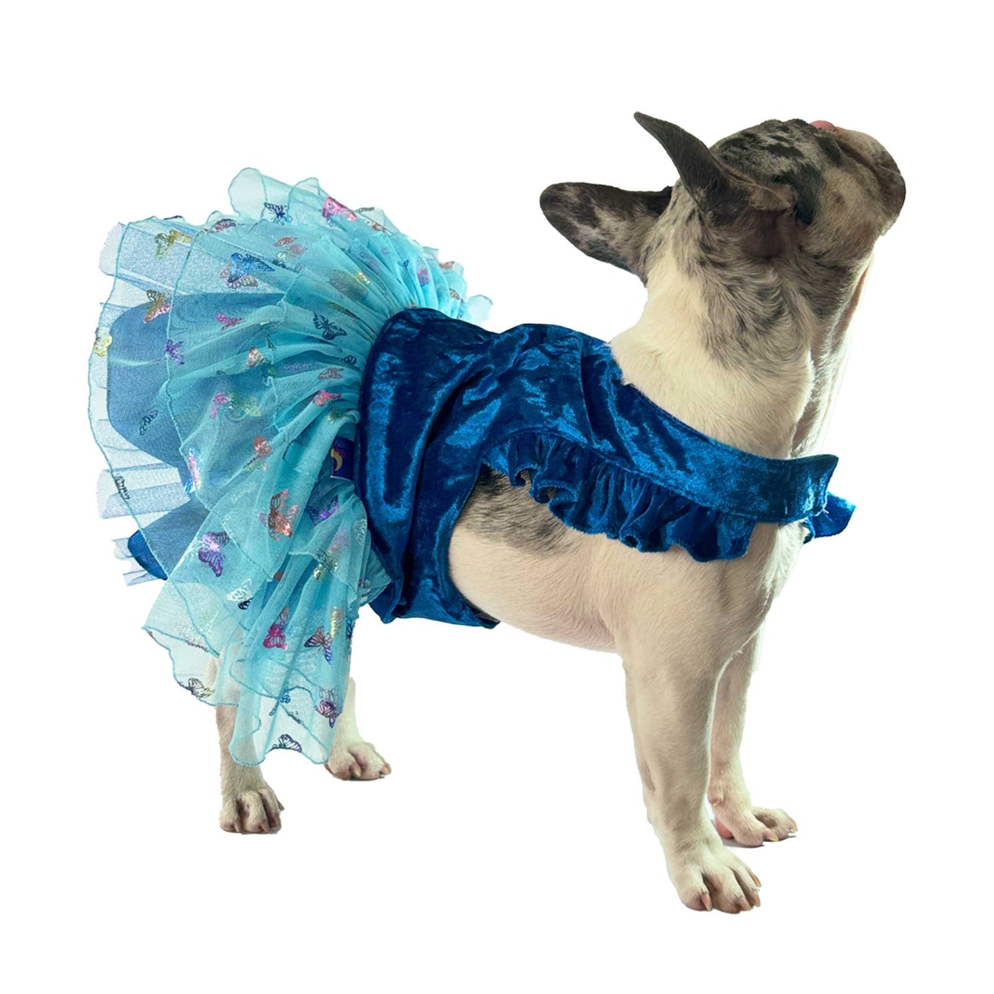 Vestido Tutu Azul Mariposa